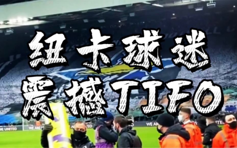 包含希尔城爆冷战胜纽卡斯尔，为球迷带来惊喜的词条