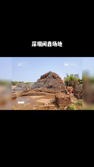包含深圳钢铁主场取分，延续良好表现的词条